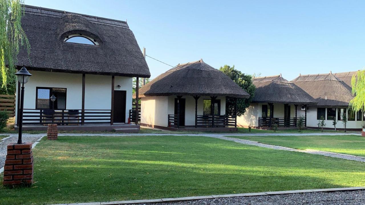Casa Patru Anotimpuri